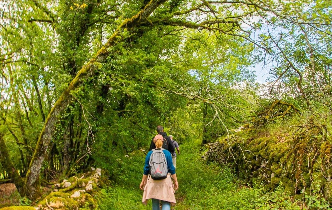 LA MARCHE ET SES BIENFAITS